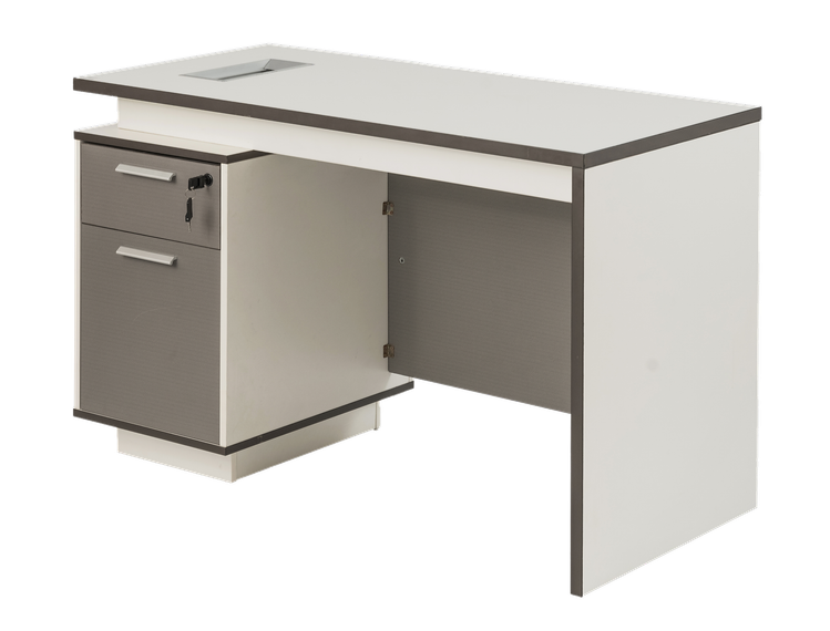 ESCRITORIO EJECUTIVO STARKEN MELAMINE 1.2M WHITE-GREY (ESC124)