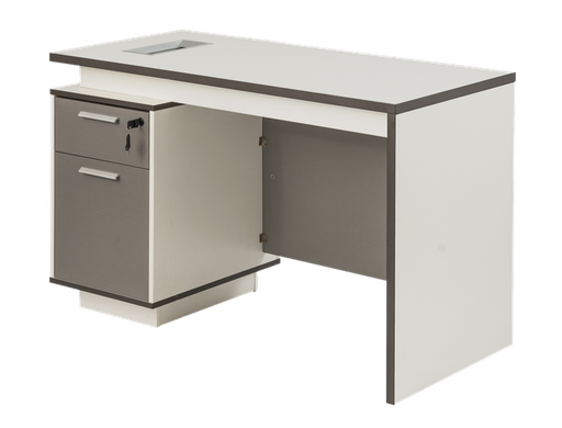 ESCRITORIO EJECUTIVO STARKEN MELAMINE 1.2M WHITE-GREY (ESC124)